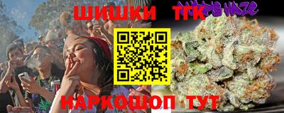 прущие грибы Анапа