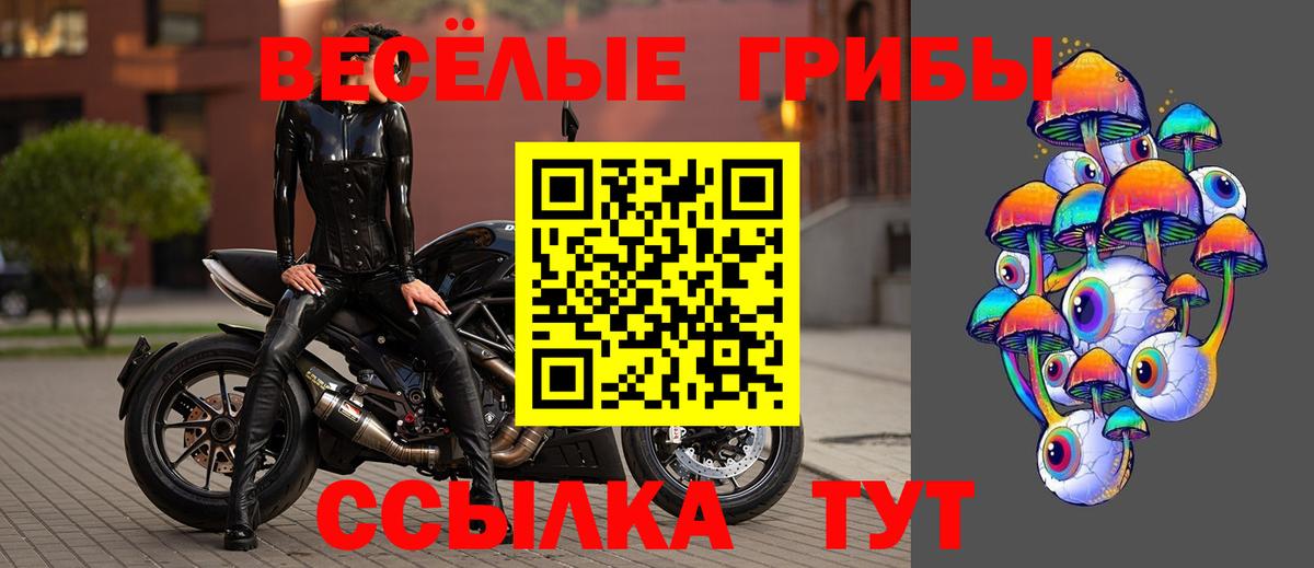 Добрянка  Псилоцибиновые грибы мухоморы  Вход с VPN 